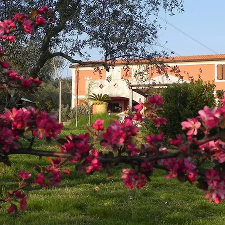 Bed and breakfast Il Giardino Delle Esperidi Fosdinovo